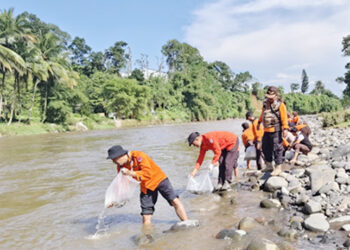 Peduli Kelangsungan Ekosistem Pramuka Peduli Banjarnegara Tebar Benih Ikan di Sungai Serayu.