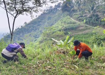 Bentuk Sikap Cinta Alam dan Kasih Sayang Sesama Manusia, DKR Banjarnegara Hijaukan Gunung Lanang.