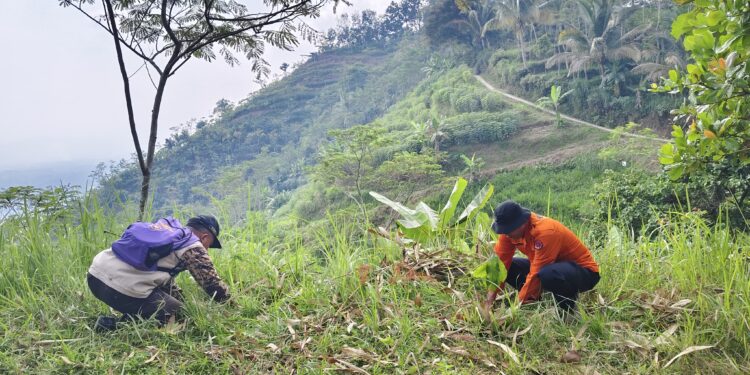 Bentuk Sikap Cinta Alam dan Kasih Sayang Sesama Manusia, DKR Banjarnegara Hijaukan Gunung Lanang.