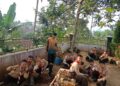 Ketika 70 Anak Menanam Harapan: Dari Halaman SDN 1 Sered, Pramuka Menumbuhkan Masa Depan.